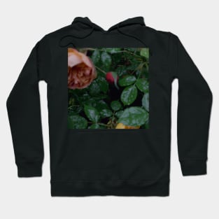 rain garden Hoodie